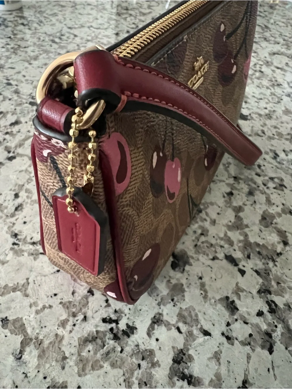 COACH Nolita 19 In Signature Canvas With Cherry Print Pre Owned
